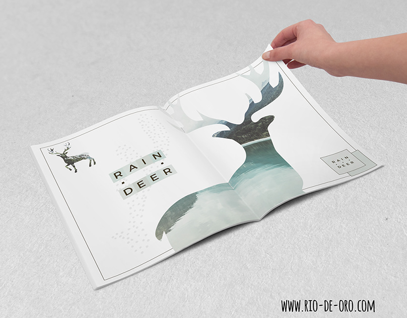 Reindeers hand drawn images composing in a book