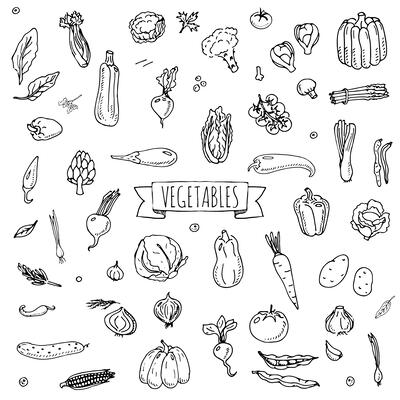 Vegetables Icon Set 3